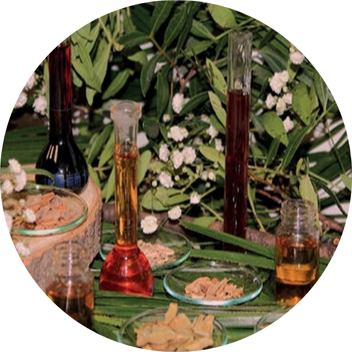 Ayush Vedica Product